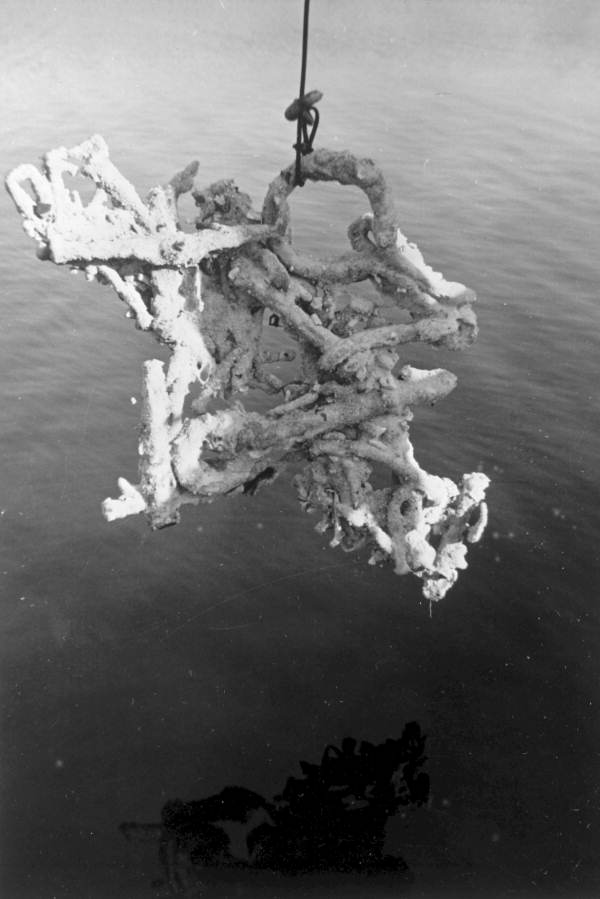 Sunken treasure being lifted by the "Treasure Princess" - Florida Keys, Florida