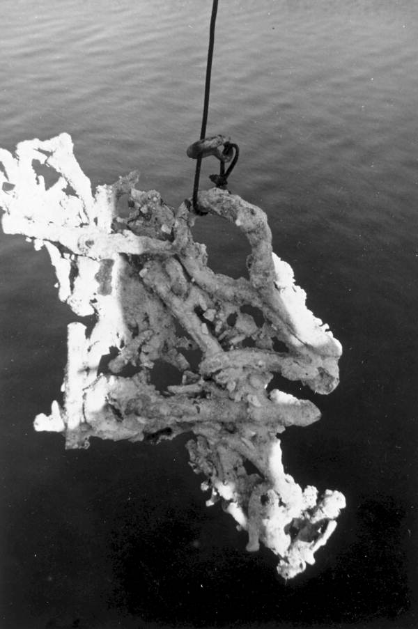 Sunken treasure being lifted by the "Treasure Princess" - Florida Keys, Florida
