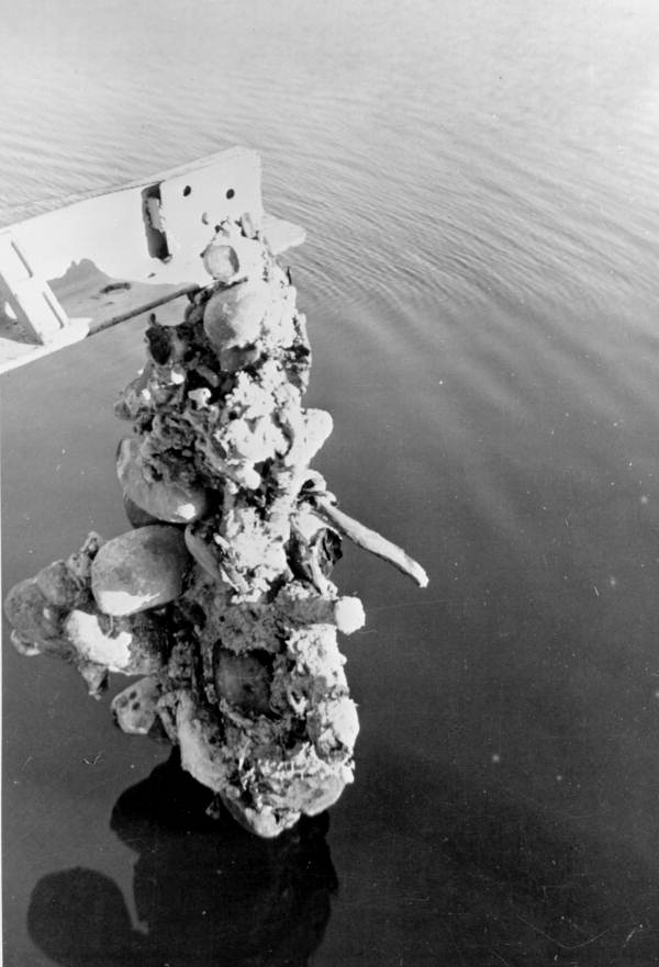 Sunken treasure being lifted by the "Treasure Princess" - Florida Keys, Florida