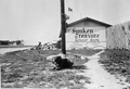 Dog sitting in front of the first McKee museum of sunken treasure - Plantation Key, Florida
