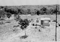 House behind McKee's Museum of Sunken Treasure - Plantation Key, Florida