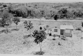 House behind McKee's Museum of Sunken Treasure - Plantation Key, Florida