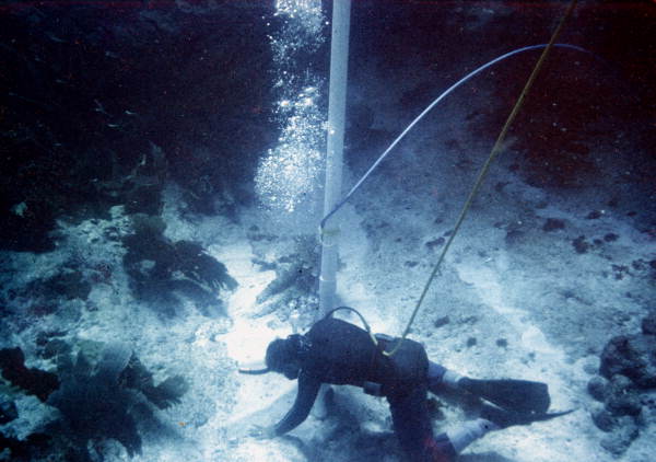 Diver working sand pockets near wreck believed to be the Genovesa