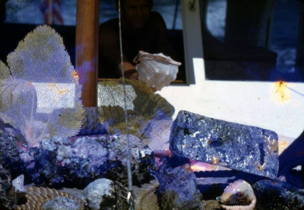 Silver bars retrieved by treasure hunter Art McKee