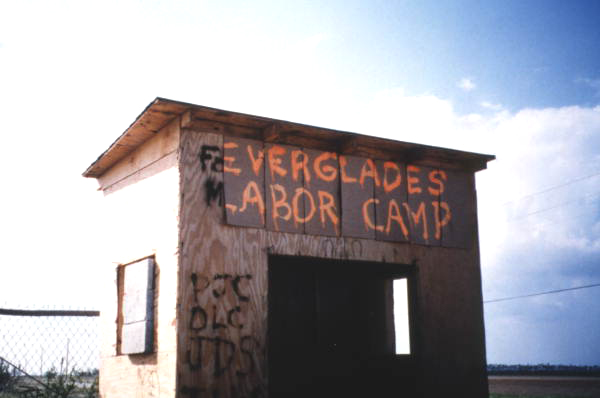 View of an Everglades Labor Camp building following Hurricane Andrew.