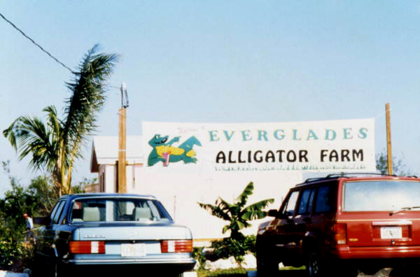 View showing the sign for the Everglades Alligator Farm following Hurricane Andrew - Homestead, Florida.