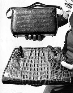 Handbags made from alligator skins (1960s)
