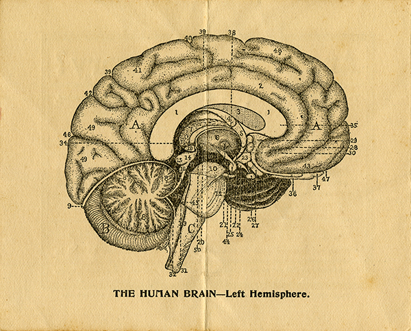 Lecture pamphlet, 1903
