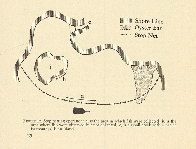 View entire document FIGURE 12. Stop netting operation.