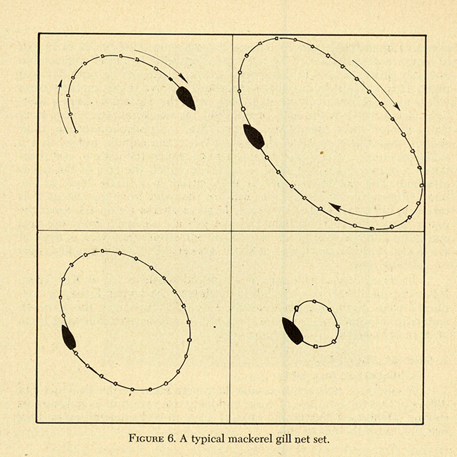 View entire document FIGURE 6. A typical mackerel gill net set.