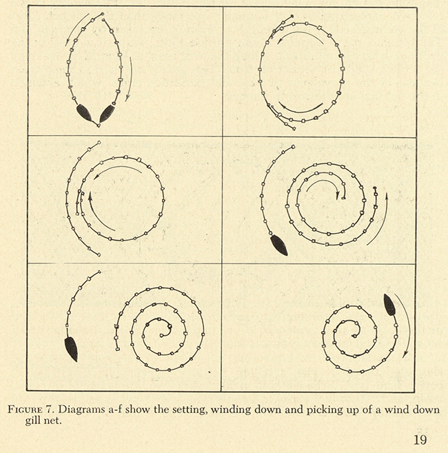 View entire document FIGURE 7. Diagrams a-f show the setting, winding down and picking up of a wind down gill net.