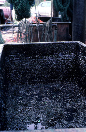 Tar vat used by Billy Burbank III for making nets: Fernandina Beach, Florida (not after 1980)