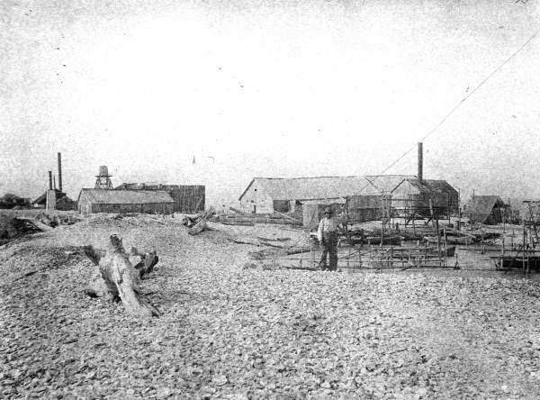 Oyster packing houses and frames for drying fishnets: Apalachicola, Florida (1895)