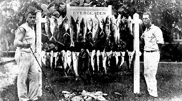 Day's catch of fish in the Everglades