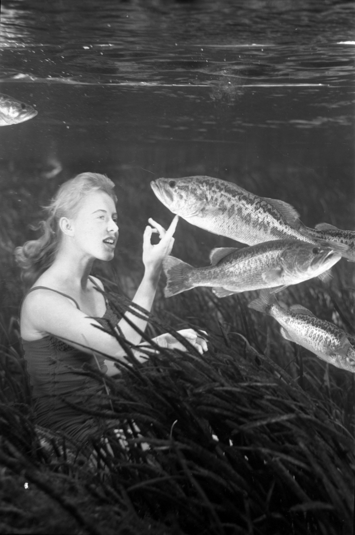 Jan Beeks underwater petting a fish at Silver Springs.