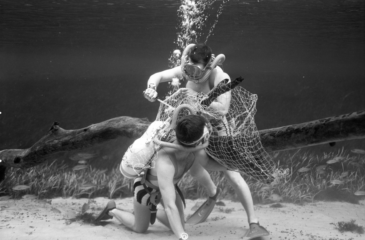 Ricou Browning being cut out of net by another diver as part of a safety demonstration at Silver Springs.