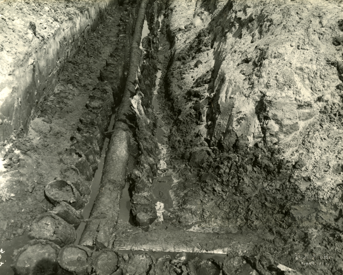 Southeast corner of Cubo Redoubt: Showing Spanish palmetto posts and English pine post construction.