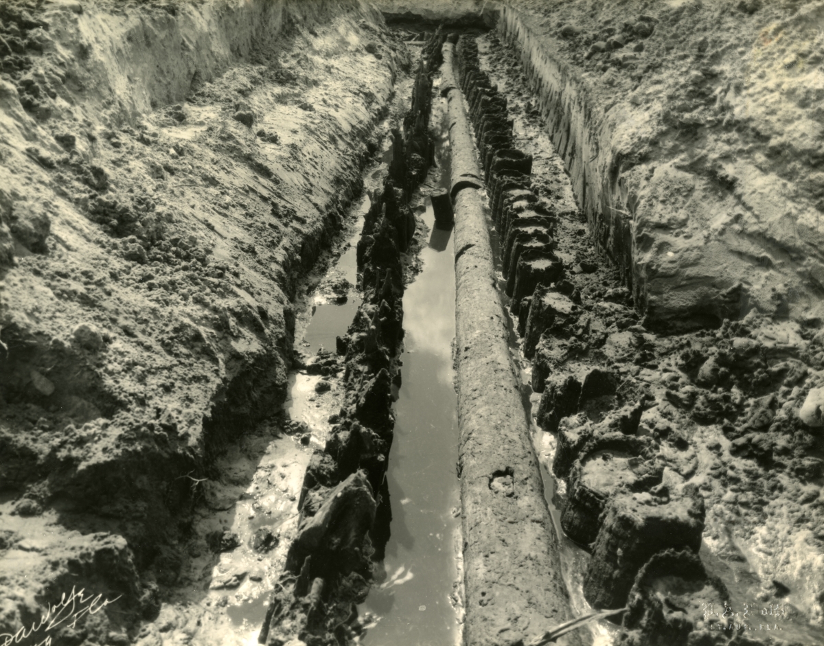 East wall of Cubo Redoubt: Showing Spanish palmetto posts and English pine post construction.