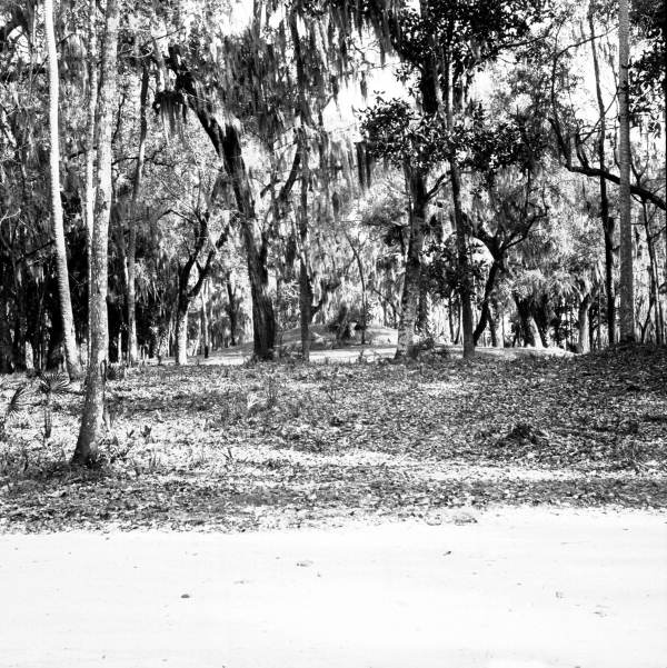 View of mound at Crystal River State Park - Crystal River, Florida