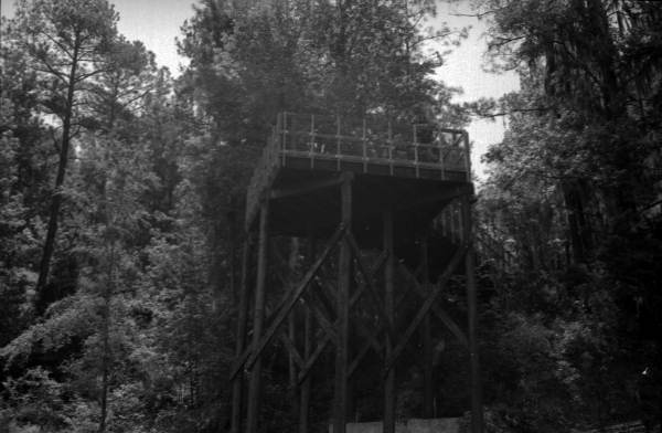 River overlook at Suwannee River State Park - Suwannee County, Florida