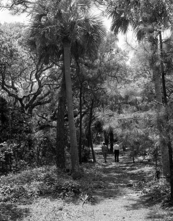 Jim Work and Charles Graves walking trail on north end of Little Talbot Island State Park - Jacksonville, Florida.