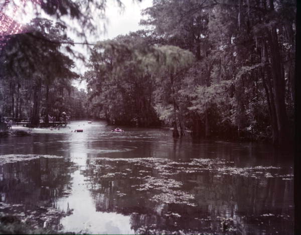 View of springs at Manatee Springs State Park - Chiefland, Florida