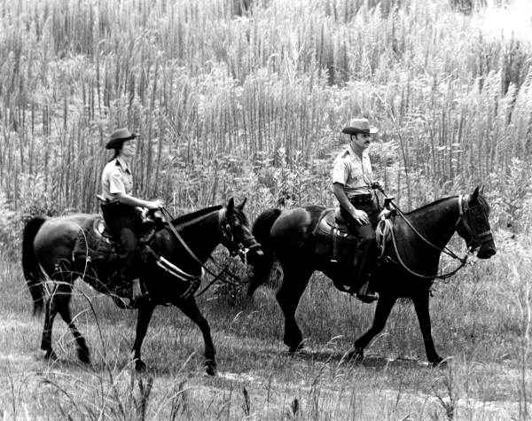 Park rangers riding horses at Lake Kissimmee State Park - Polk County, Florida