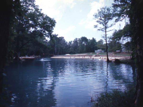 Swimming facilities at Blue Hole Spring in Florida Caverns State Park- Marianna, Florida.
