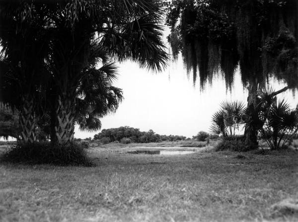 View of Bulow Plantation Ruins Historic State Park - Bunnell, Florida