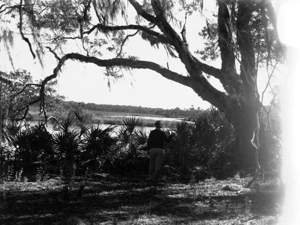 View of Bulow Creek at Bulow Plantation Ruins Historic State Park - Bunnell, Florida