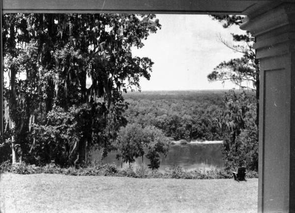 View of Apalachicola River in Torreya State Park - Rock Bluff, Florida