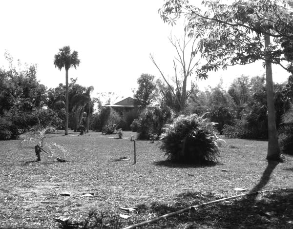 View of Koreshan Historic State Park - Estero, Florida