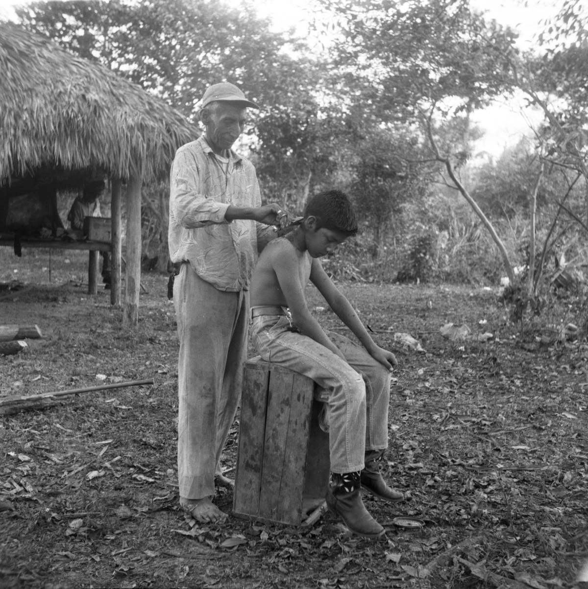 Seminole Indian cutting boy's hair