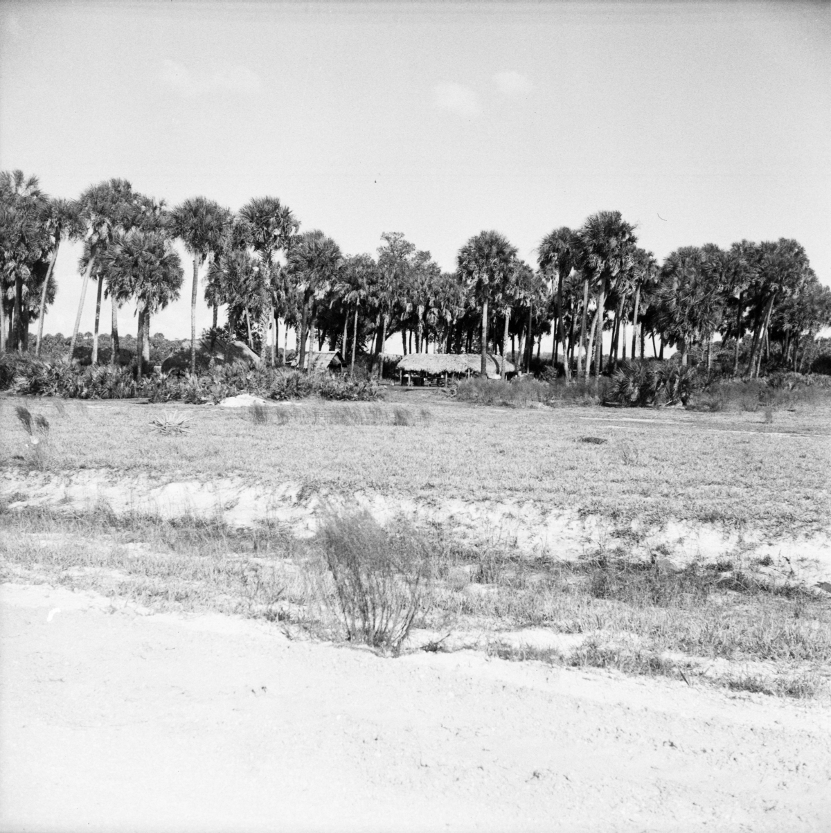 Seminole camp as seen from the road