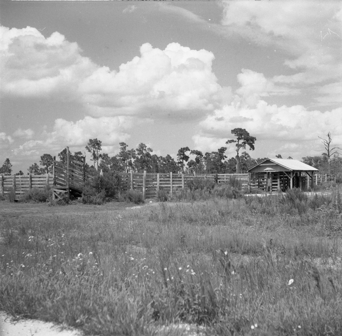 Corral and cattle pen with grassy area in foreground
