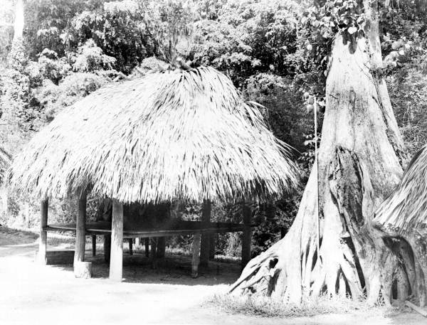 Seminole Indian chickee - Silver Springs, Florida.