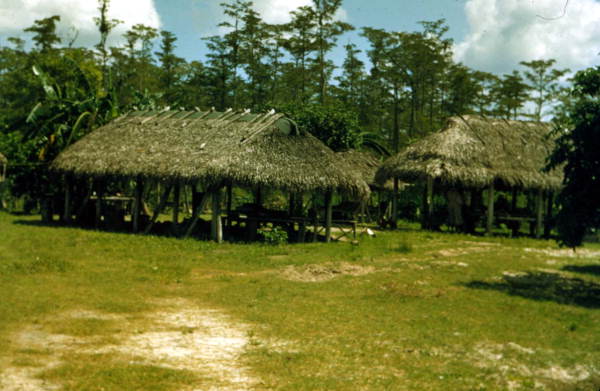 Chickees at the Big Cypress Seminole Indian Reservation