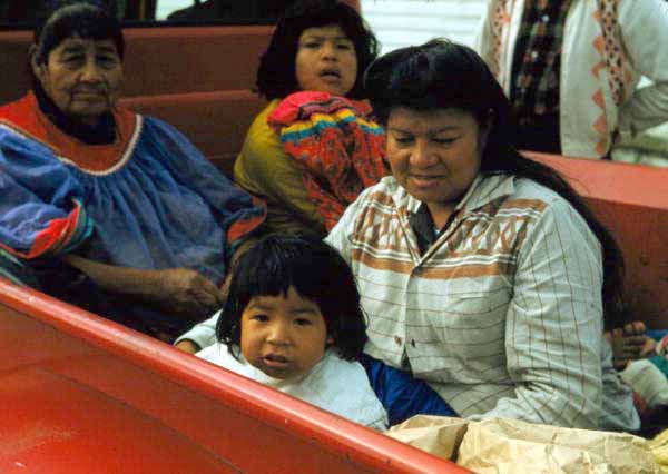 Seminole Indians of the Dania Seminole Indian Reservation