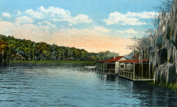Dead River, near Eustis, Fla.