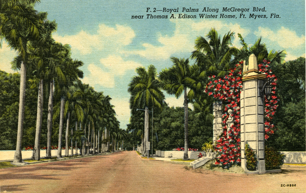 Royal Palms along McGregor Blvd. near Thomas A. Edison winter home in Fort Myers.