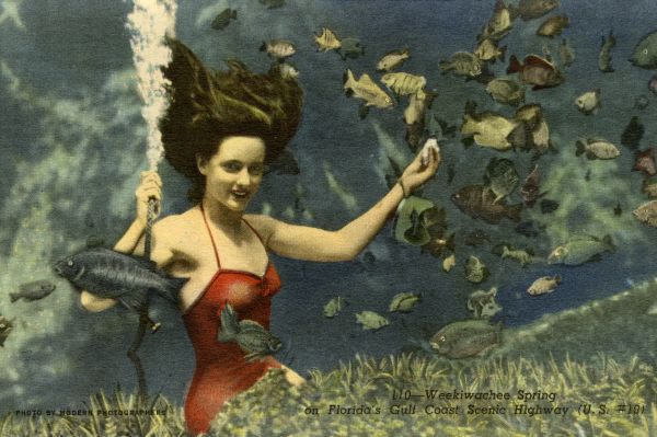 Mermaid performing at the Weeki Wachee Springs waterpark.