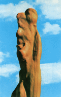 Close-up view of cypress knee at the Tom Gaskins' Cypress Knee Museum in Palmdale.