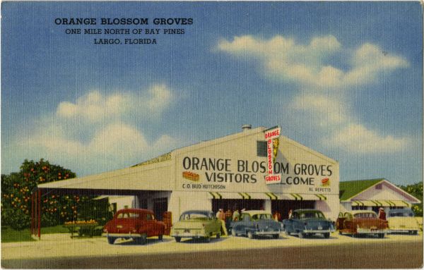 Orange Blossom Groves at Largo.