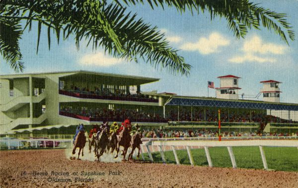 Horse racing at Sunshine Park, Oldsmar, Florida.