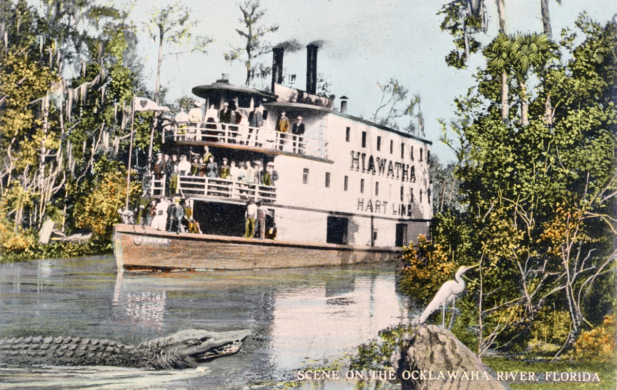 Scene on the Ocklawaha River, Florida.