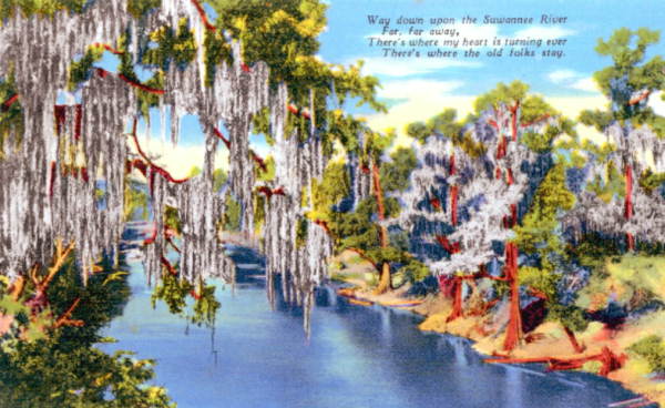 Beautiful Suwannee River