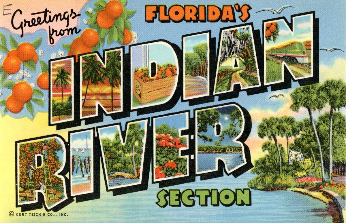 Greetings from Florida's Indian River section