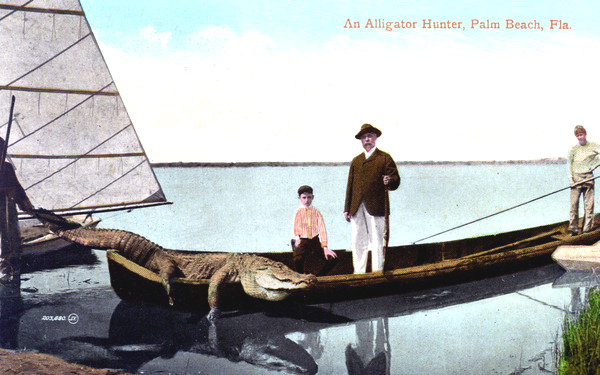 An Alligator hunter - Palm Beach, Florida.