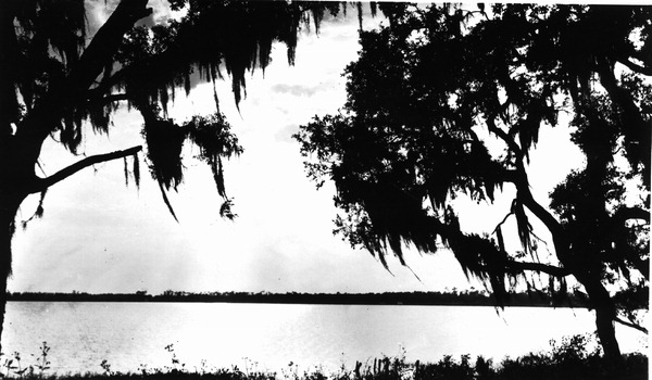 Lake scene