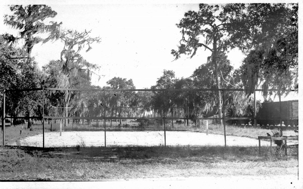 Sporting field